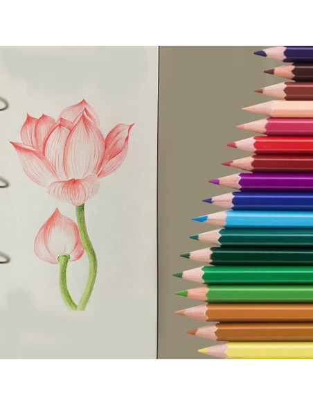 Lápices de Colores SKKSTATIONERY 50Pcs Multicolor 17.78cm Lápices de Colores SKKSTATIONERY 50Pcs Multicolor 17.78cm