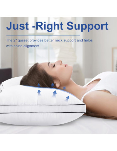 Juego de Almohadas Queen CHOKIT 2 Piezas Microfibra Suave
