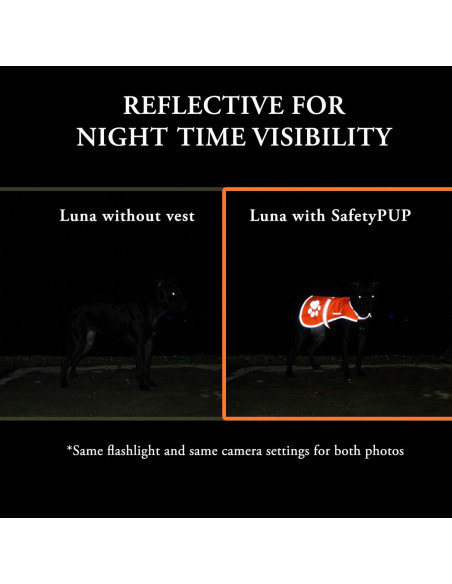 Chaleco Reflectante para Perros SafetyPUP Mediano Rosa Chaleco Reflectante para Perros SafetyPUP Mediano Rosa