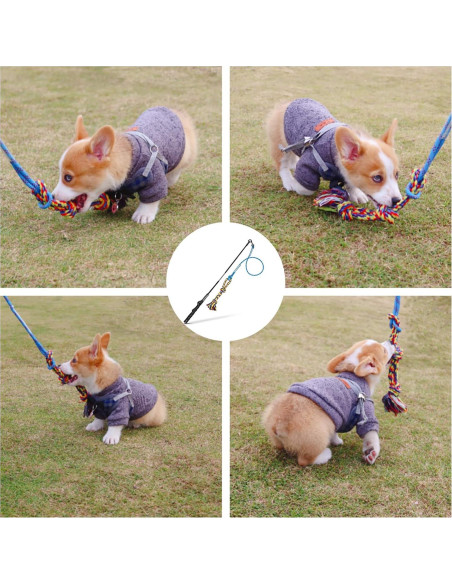 Palo de Coqueteo para Perros DIBBATU 83,82 cm Azul Palo de Coqueteo para Perros DIBBATU 83,82 cm Azul