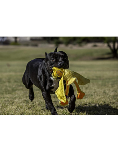 Juguete para Perros Multipet Skele Duck 38 cm con Squeaker