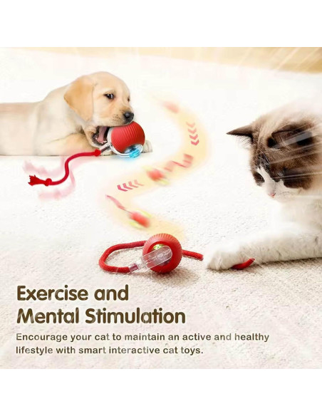 2 Juguetes Interactivos para Gatos y Perros JinRui-T 2 Juguetes Interactivos para Gatos y Perros JinRui-T