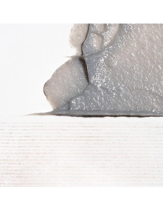 Champú Micro-Exfoliante Briogeo 56.7g Carbón Coco Vegano 2