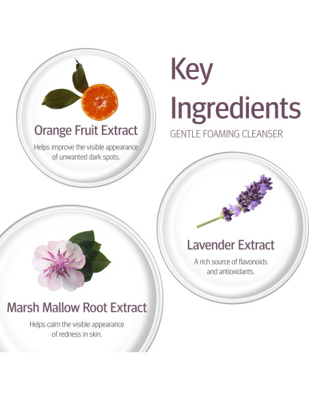 Limpiador Espumoso Suave Epionce 226g - Facial Hidratante Limpiador Espumoso Suave Epionce 226g - Facial Hidratante