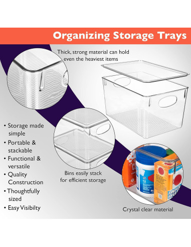 Bins de Almacenamiento ClearSpace 4 Paquete 27,94x19,05x15,24cm