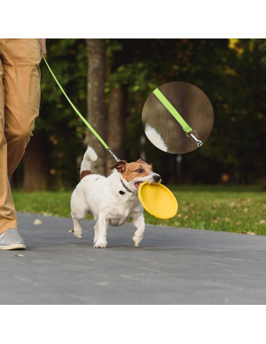 Correas Deslizantes para Perros Weewooday 18 Pcs 180 cm Colorido