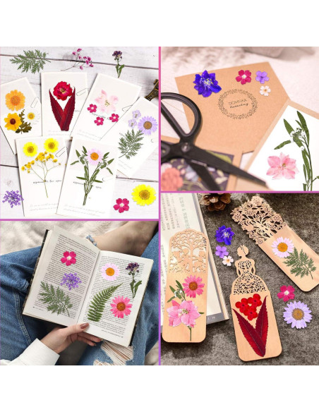 Kit de 140 Flores Secas Prensadas Cruzix para Manualidades Kit de 140 Flores Secas Prensadas Cruzix para Manualidades