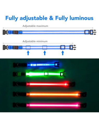 Collar LED para Perros Vizpet Ajustable Recargable Azul 28-40 cm