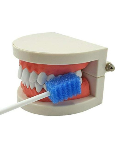 Hisopos Bucales Desechables MUNKCARE Azul 100 Unidades