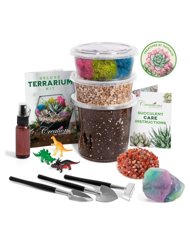 Kit de Terrario DIY Pequeño Creaciones de Nathalie - 11 Piezas