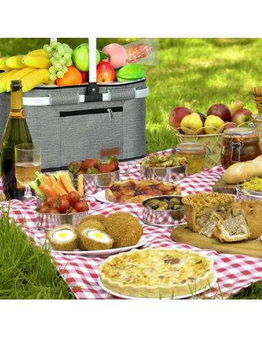 Canasta de Picnic LIQING 35L Aislada Plegable Gris