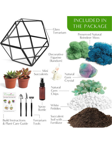 Kit de Terrario Geométrico DIY Creaciones de Nathalie 17.78 cm