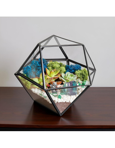 Kit de Terrario Geométrico DIY Creaciones de Nathalie 17.78 cm
