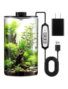 Terrario de Vidrio Maxdot 25x15 cm con Luz LED para Plantas