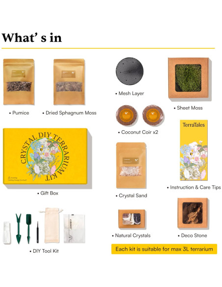 Kit de Terrario de Cristal DIY Terra Tales - Todo en Uno con Musgo y Cristales Kit de Terrario de Cristal DIY Terra Tales - Todo en Uno con Musgo y Cristales
