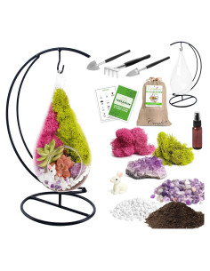 Kit de Terrario Colgante de Vidrio 7" - Creaciones de Nathalie