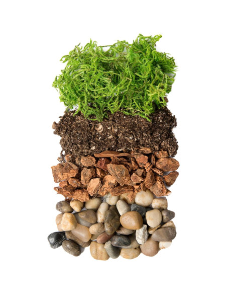 Kit de Terrario DIY SuperMoss Portland - Tarro de 8.89 cm Kit de Terrario DIY SuperMoss Portland - Tarro de 8.89 cm