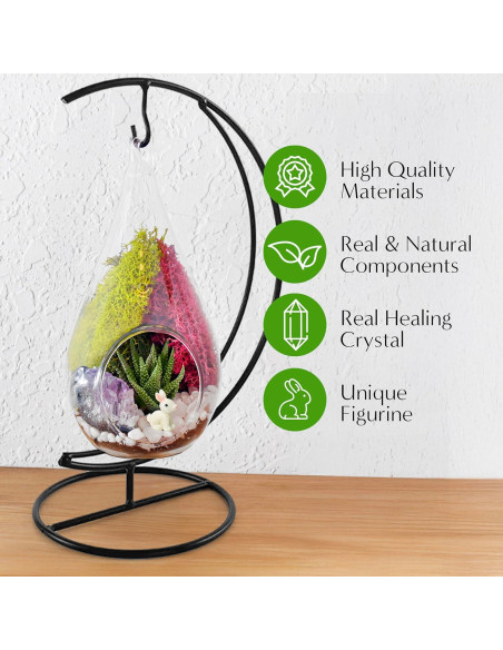Kit de Terrario Colgante de Vidrio 7" - Creaciones de Nathalie Kit de Terrario Colgante de Vidrio 7" - Creaciones de Nathalie
