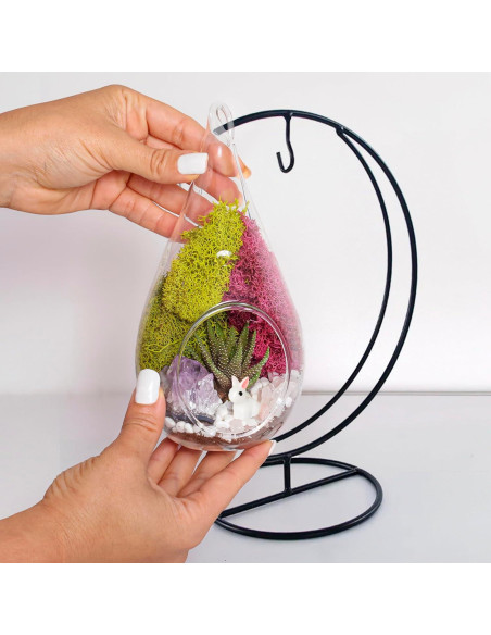 Kit de Terrario Colgante de Vidrio 7" - Creaciones de Nathalie Kit de Terrario Colgante de Vidrio 7" - Creaciones de Nathalie