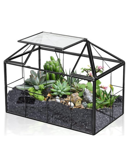 Terrario de vidrio Ferrisland en forma de casa 23.1x18.5 cm Terrario de vidrio Ferrisland en forma de casa 23.1x18.5 cm