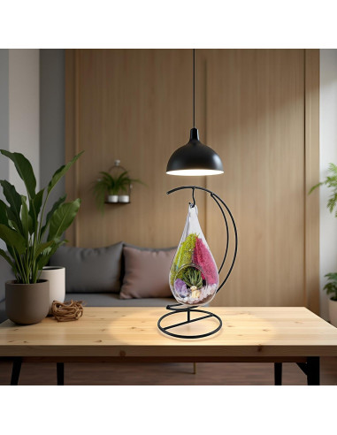 Kit de Terrario Colgante de Vidrio 7" - Creaciones de Nathalie