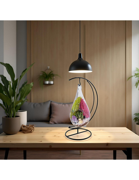 Kit de Terrario Colgante de Vidrio 7" - Creaciones de Nathalie Kit de Terrario Colgante de Vidrio 7" - Creaciones de Nathalie