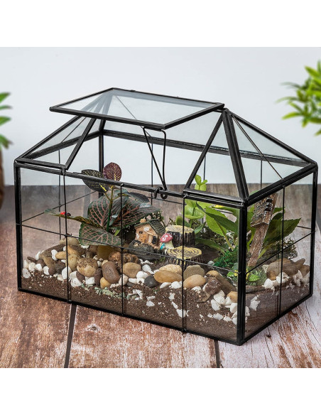 Terrario de vidrio Ferrisland en forma de casa 23.1x18.5 cm Terrario de vidrio Ferrisland en forma de casa 23.1x18.5 cm