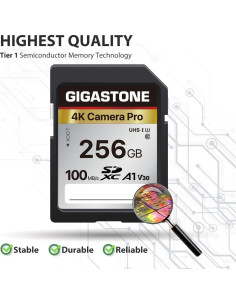 Tarjeta de Memoria Gigastone 256GB 4K UHS-I 100MB/s 2