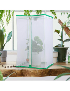 Kit de Crecimiento de Mariposas Pllieay con Cámara y Jaula 30x30x50cm 2