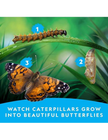 Kit de Mariposas ZENFUN 8 Piezas con Jaulas y Atrapainsectos