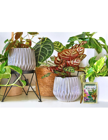 Alimento para Plantas de Interior y Flores Mini Picos 12 Unidades NPK 5-5-5