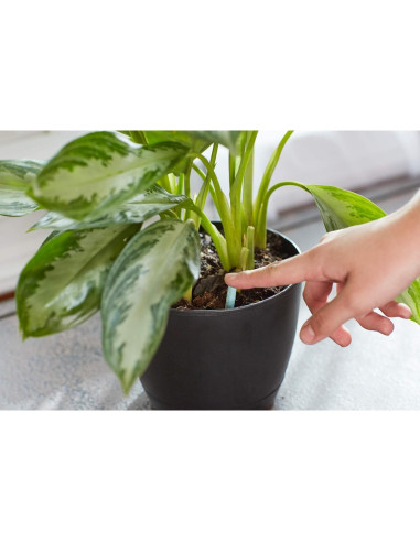 Picos de Alimento para Plantas de Interior Miracle-Gro 48 Picos NPK 6-12-6