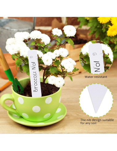 Etiquetas para Plantas 300 Pcs TDHDIKE 10cm Plástico Blanco