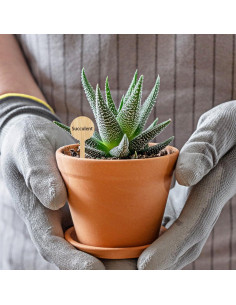 20 Etiquetas de Plantas de Bambú Tofficu - Impermeables 10x4 cm 2