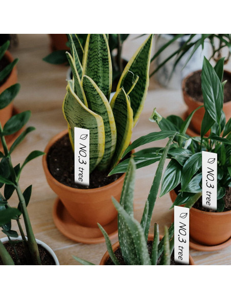 100 Etiquetas de Plantas Blancas AMORNING 10x2cm PVC 100 Etiquetas de Plantas Blancas AMORNING 10x2cm PVC