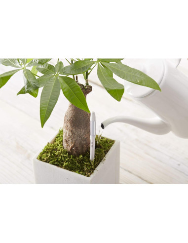 Set de 5 Sensores de Humedad SUSTEE para Plantas - Blanco