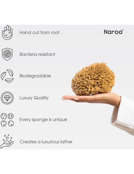 Esponja de Mar Natural Naroa Mediana para Baño y Spa Esponja de Mar Natural Naroa Mediana para Baño y Spa