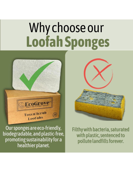 Esponjas de Lufa 100% Naturales EcoGrove - Paquete de 30 Unidades Esponjas de Lufa 100% Naturales EcoGrove - Paquete de 30 Unidades
