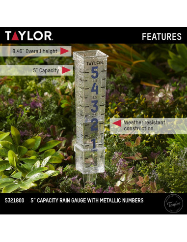 Pluviómetro Metálico Taylor 5" (12.7 cm) Fácil de Leer