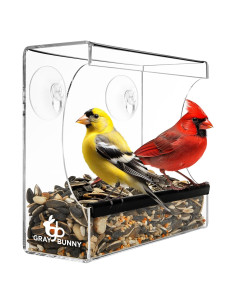 Comedero para Aves de Ventana Gray Bunny 0.35L Transparente