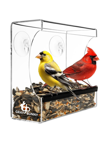 Comedero para Aves de Ventana Gray Bunny 0.35L Transparente Comedero para Aves de Ventana Gray Bunny 0.35L Transparente