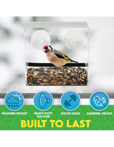Comedero para Aves de Ventana Gray Bunny 0.35L Transparente