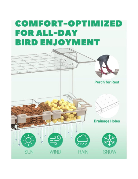 Comedero para Aves LMHOME Transparente 3 Compartimentos 320g Comedero para Aves LMHOME Transparente 3 Compartimentos 320g
