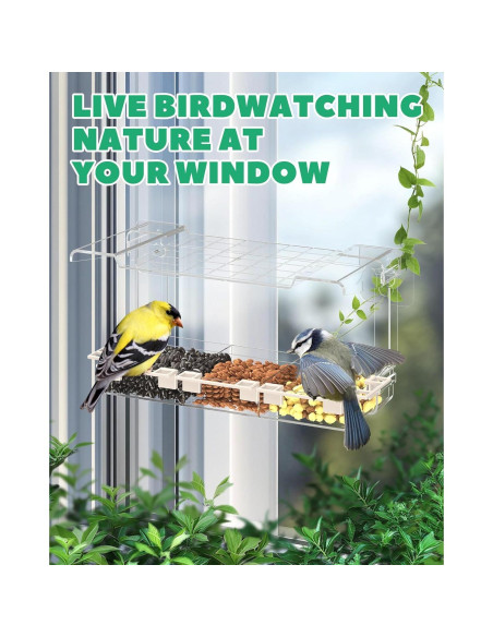 Comedero para Aves LMHOME Transparente 3 Compartimentos 320g Comedero para Aves LMHOME Transparente 3 Compartimentos 320g