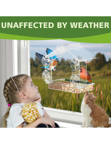 Comedero para Aves GelinRedcap con 5 Ventosas Resistentes Comedero para Aves GelinRedcap con 5 Ventosas Resistentes