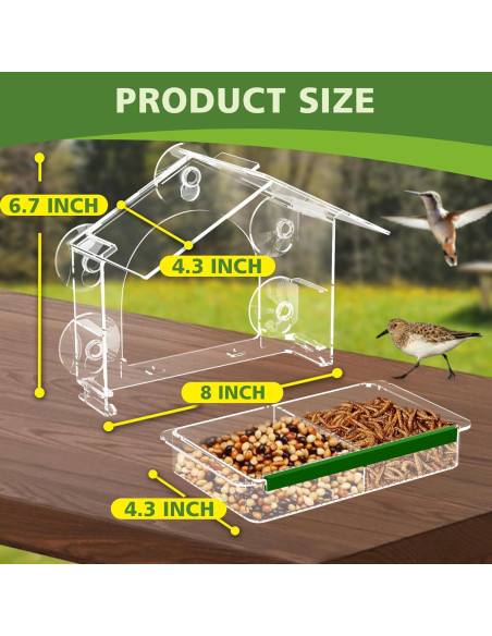 Comedero para Aves GelinRedcap con 5 Ventosas Resistentes Comedero para Aves GelinRedcap con 5 Ventosas Resistentes