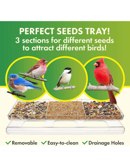 Comedero para Aves DF Omer Transparente 0.95L 3 Secciones Comedero para Aves DF Omer Transparente 0.95L 3 Secciones