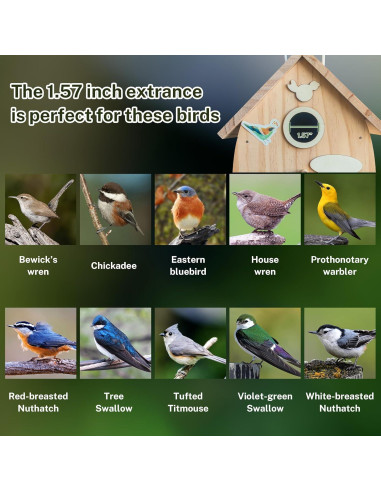 Kit Casa para Aves de Madera SUMORISE DIY 18x20x25 cm