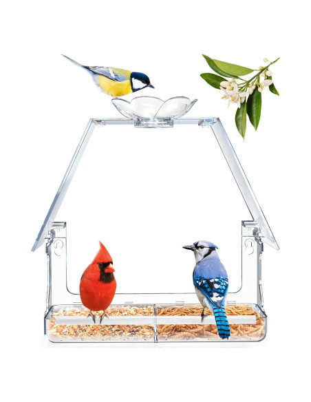 Comedero para Aves de Ventana WENMIXER con Ventosas y Ganchos Comedero para Aves de Ventana WENMIXER con Ventosas y Ganchos