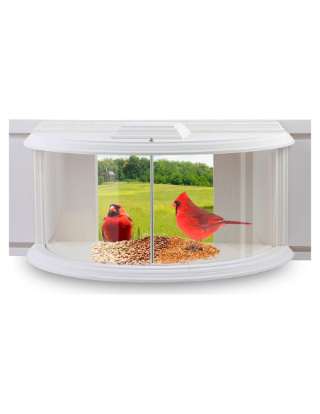 Comedero para Aves de Ventana JOYSEUS - Diseño Duradero y Elegante Comedero para Aves de Ventana JOYSEUS - Diseño Duradero y Elegante
